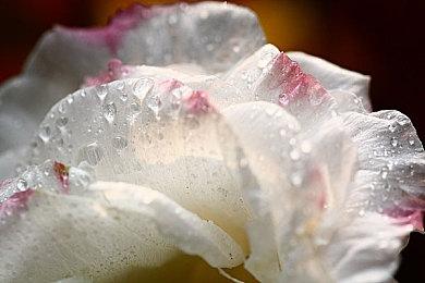 《GTA6》首支预告片上线时间早在几个月前就被“公开”了